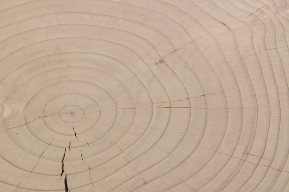 A9 - Cedro finitura contract (essenza disponibile solo per utilizzo indoor)