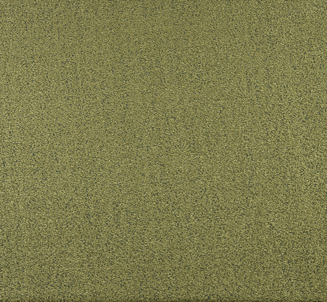 D1 - Tessuto Bouclé M150 - 04 Erba