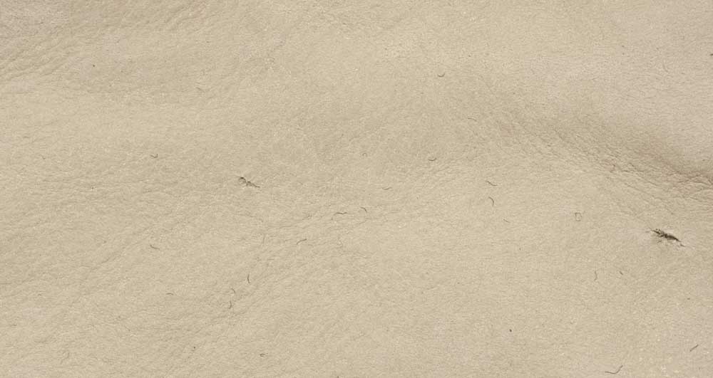 D3 - Pelle camoscio - 1 Ecru