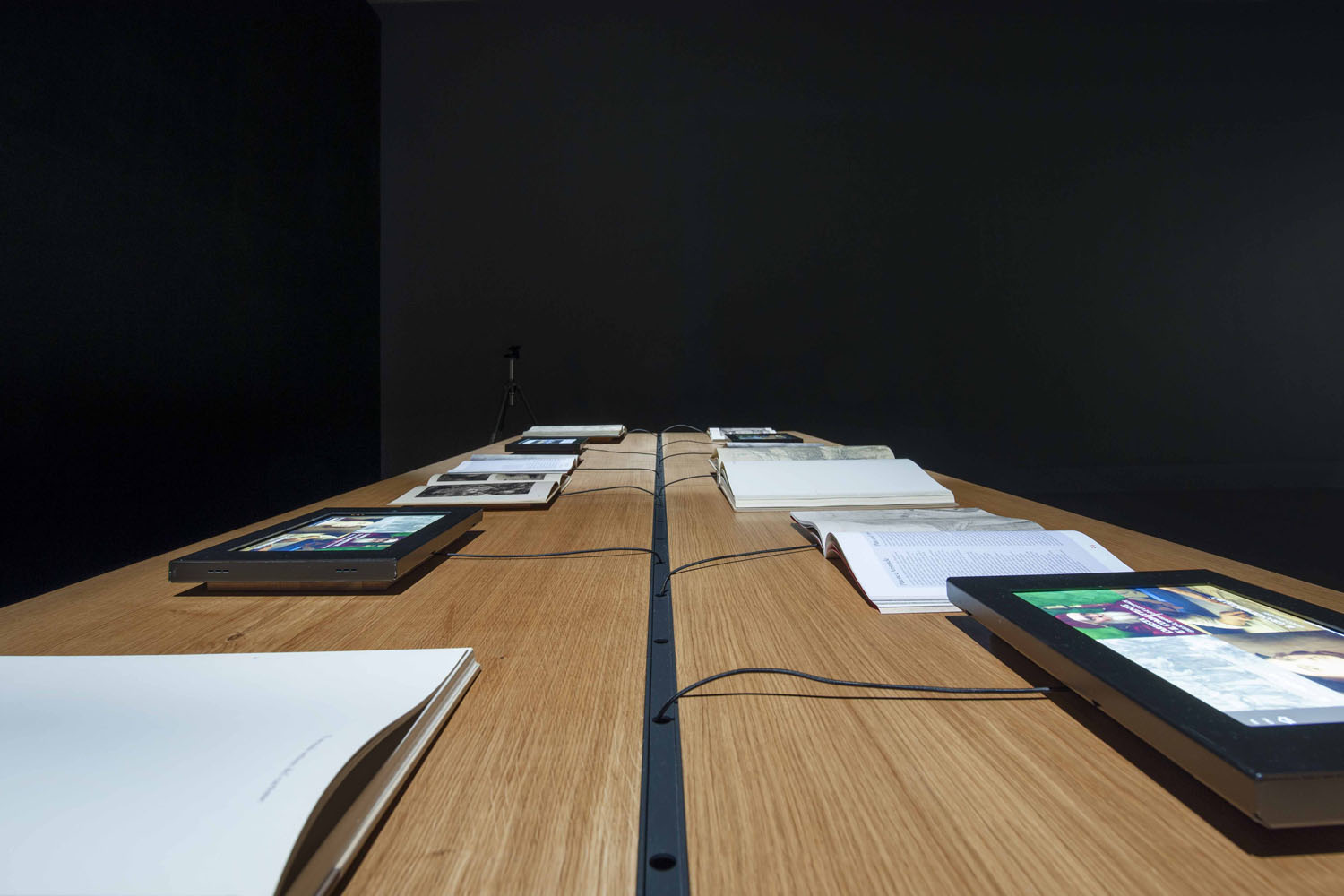 SALA DEL CARTONE DI RAFFAELLO Gallery 